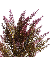 vřes trs - růžová tmavá