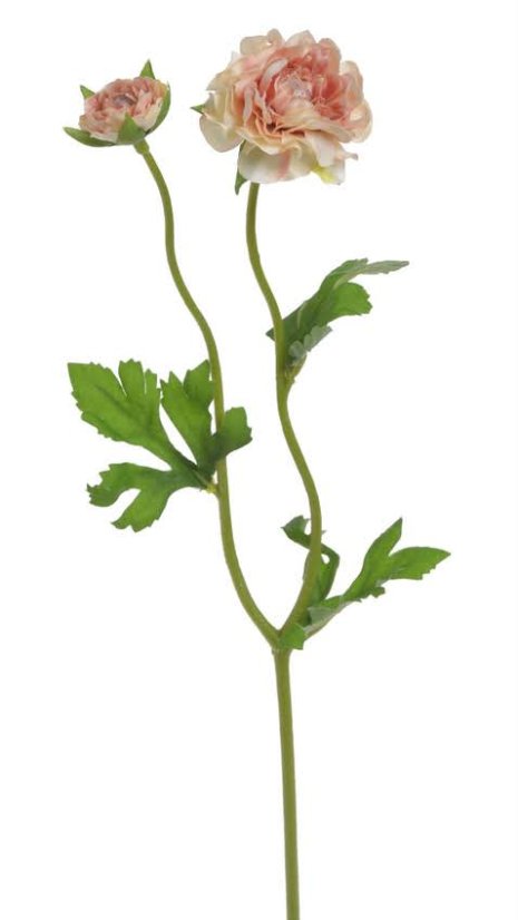 ranunculus s poupátkem 39 cm - broskvová