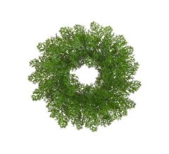 věneček túje 27 cm - zelený