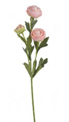 malý ranunculus 41 cm  - růžová
