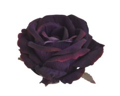 růže Velvet hlavičky (6ks) - bordó/tm.fialová