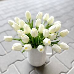 tulipán pěnový (5 ks) - bílá se zeleným nádechem
