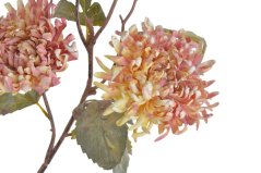 chryzantéma vintage 82 cm - krém/růžová