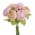 ranunculus svazek - sv. růžová/broskvová