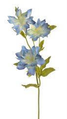 klematis 44 cm - modrá