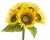 slunečnice (5ks) - žlutá