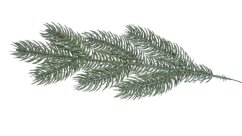 jehličí 31 cm - zelená