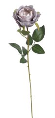 růže 62 cm - fialová