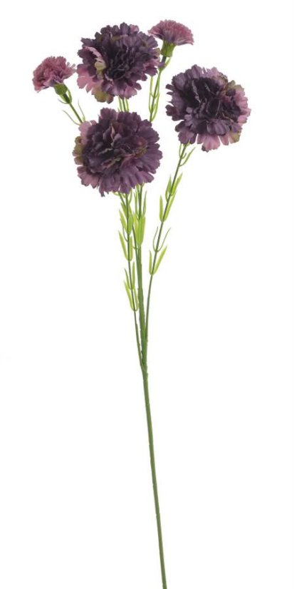 trsový karafiát 61 cm - tmavá fialová