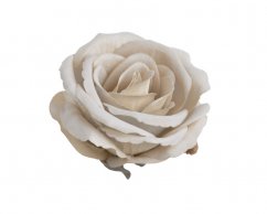 růže velvet - hlavičky (6 ks) - krémovobéžová