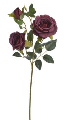 růže velká - červená tmavší