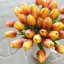 tulipán pěnový (5 ks) - žlutooranžová/vínová