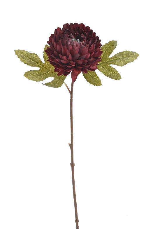 chryzantéma 51 cm - vínová