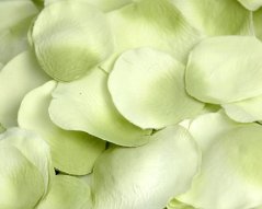 plátky růží 3-5 cm - zelená