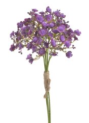 gypsophila - šater (5 ks) - fialová