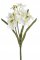 trs narcisů 40 cm - bílá