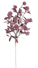 divoký česnek 85 cm - vínová