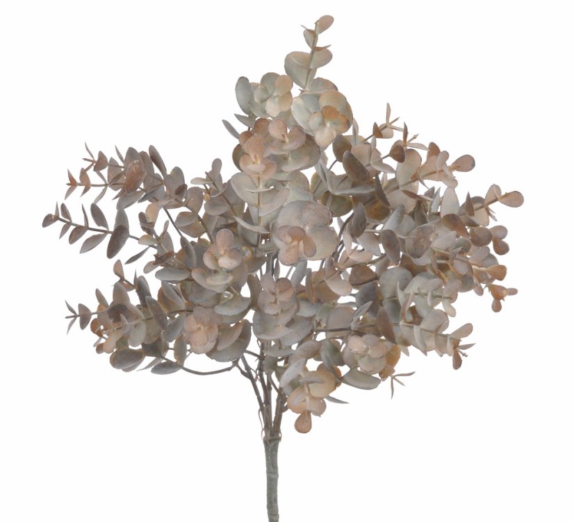 eukalyptus 35 cm - šedá/okrová