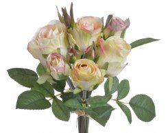 kytice růží s listy - krémovozelená s růžovými okraji