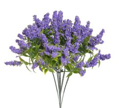 vřesovec zápich x 6 - fialová