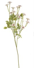 umělá kvetoucí rostlina Astra – bílá, 83 cm