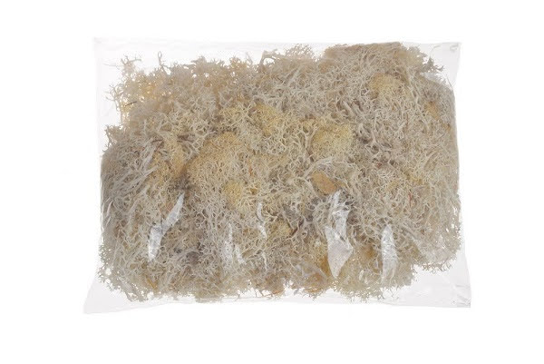 moss extra (100 g), islandský mech - bílý