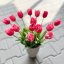 tulipán 40 cm - červenorůžová
