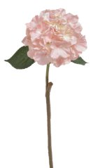 hortenzie 59 cm - růžová