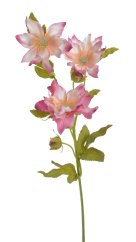 klematis 44 cm - růžová