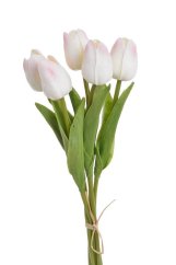 tulipán pěnový (5 ks) - bílá/růžová