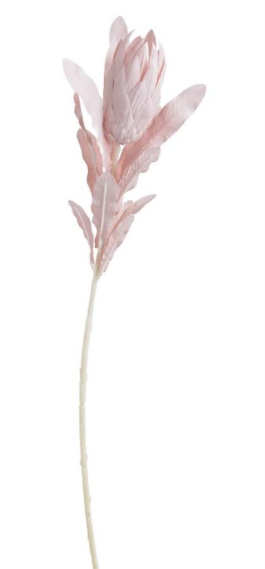 protea pastel - růžová