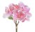buket magnolií - růžová výraznější