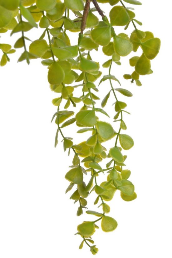 umělý převislý eukalyptus 76 cm