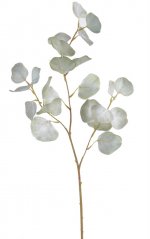 eukalyptus 76 cm - světlá zelená
