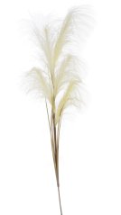 umělá pampová tráva (pampas) - krémová