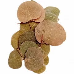 moneta leaf (100 g)