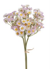 heřmánek svazek 3 ks - bílá/růžová