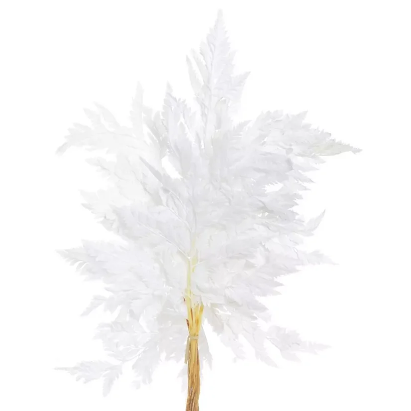 kapradí sušené (10 ks) - bílá