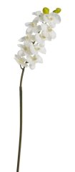 orchidej 63 cm - bílá