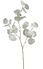eukalyptus 76 cm - světlá zelená