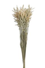 oves natural (70g)