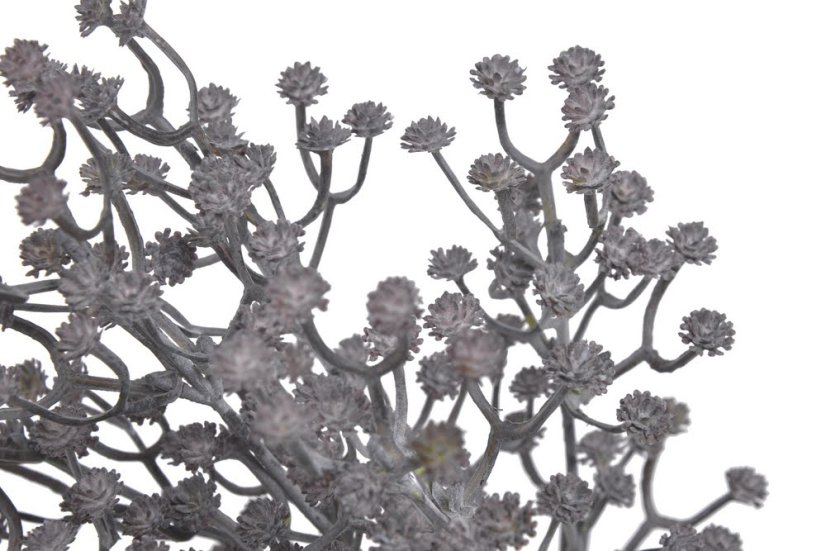 gypsophila 29 cm - fialovošedá tmavá