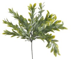 svazek ruscus 25 cm (3 ks) - zelená
