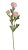malý ranunculus 41 cm  - růžová