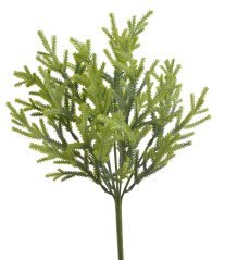 chvojí větvička 38 cm - zelená