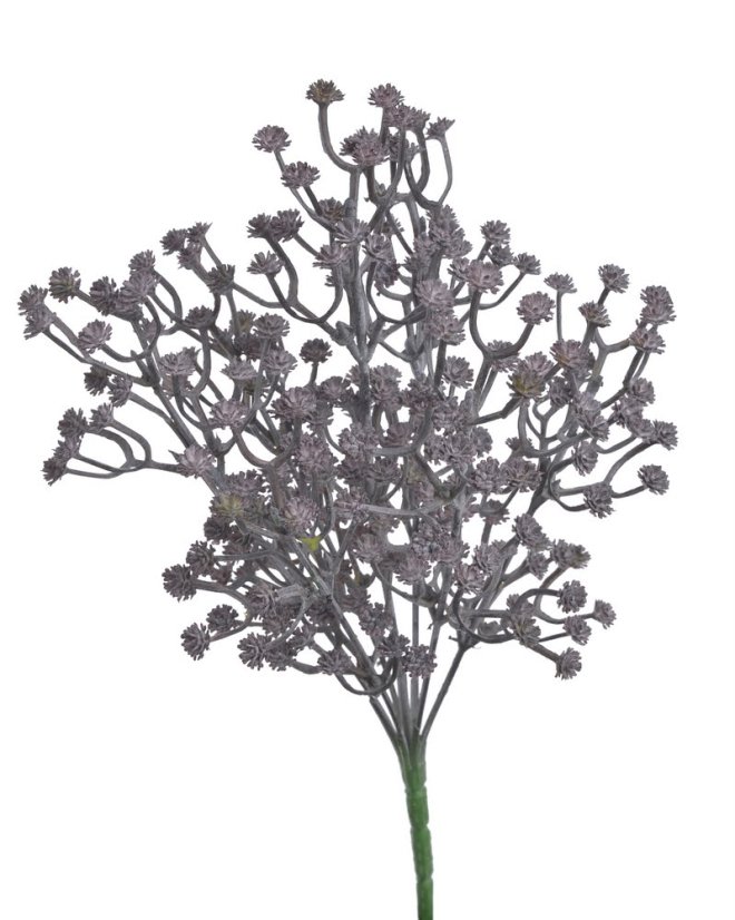 gypsophila 29 cm - fialovošedá tmavá