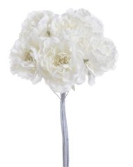 kytice krajkových růží (6ks) - krém