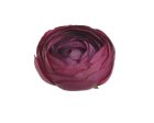 Ranunculus hlavičky