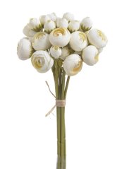 svazek kamélií - smetanová