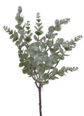 eukalyptus 45 cm - zelenošedá